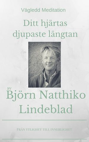 Ditt hjärtas djupaste längtan, Beskrivning av Ditt hjärtas djupaste längtan, Björn Natthiko Lindeblad