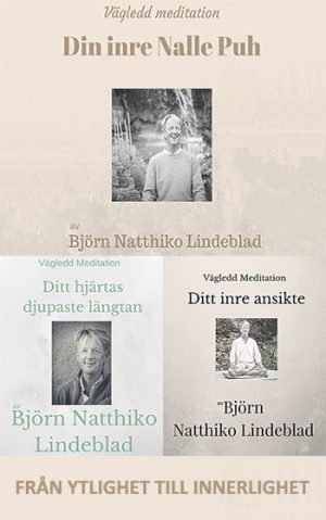 Från ytlighet till innerlighet, Beskrivning av Från ytlighet till innerlighet, Björn Natthiko Lindeblad