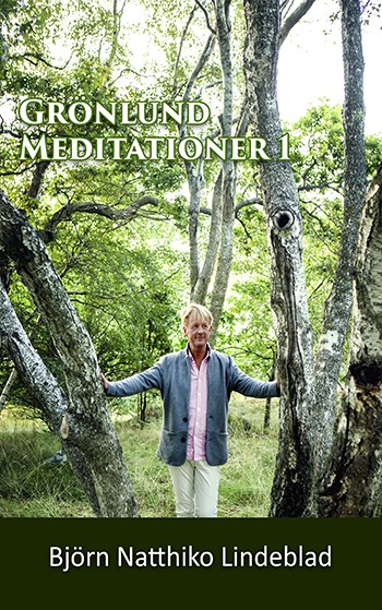 Grönlund meditationer 1, Beskrivning av Grönlund meditationer 1, Björn Natthiko Lindeblad